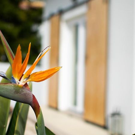 Casa-Simplicity Gelder Zetten Lda Gracieira Exterior photo